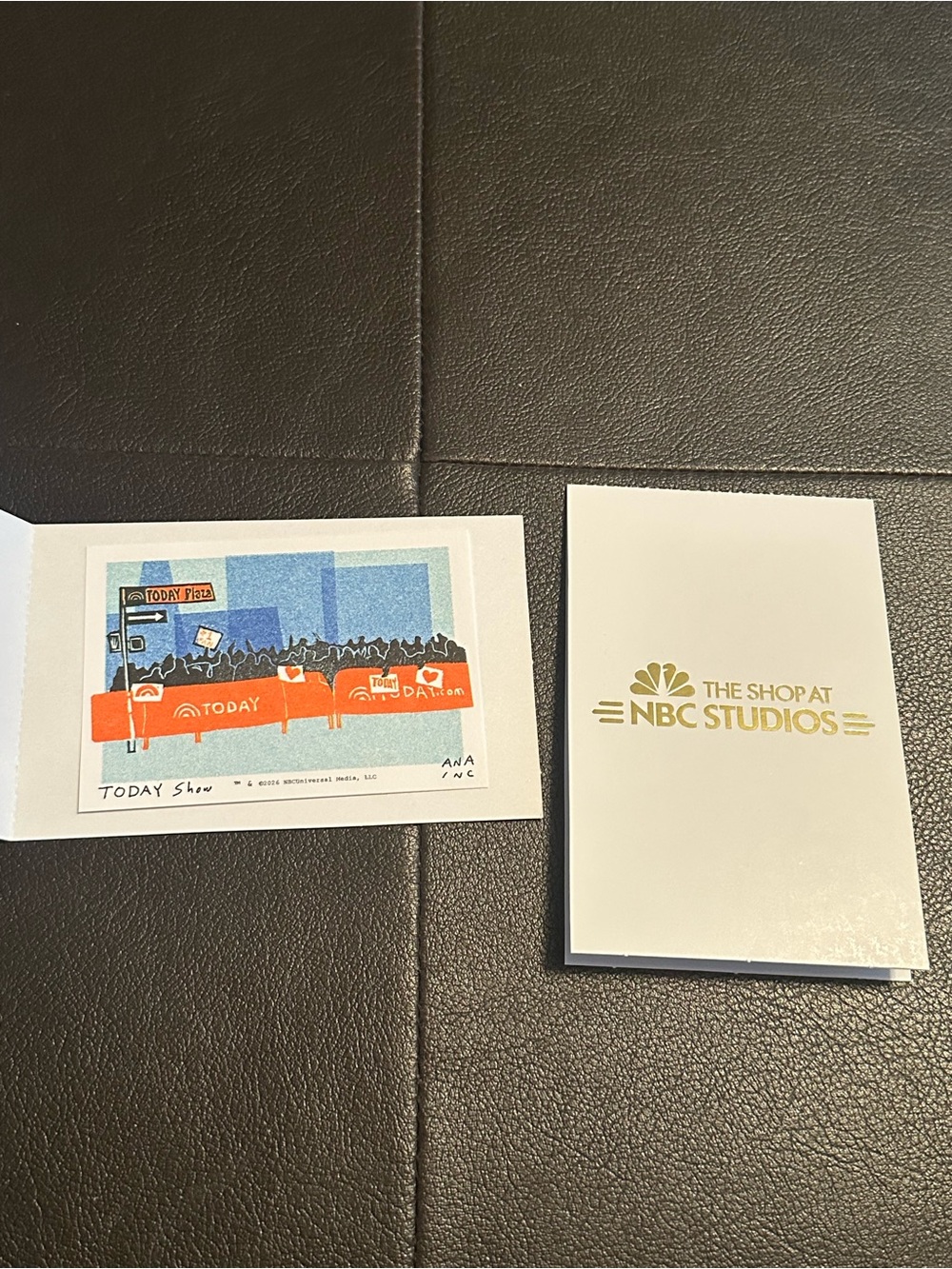 TODAY Show Mini Print